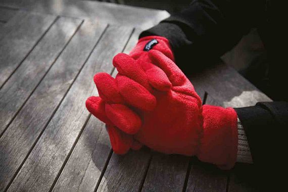 Polartherm Gloves
